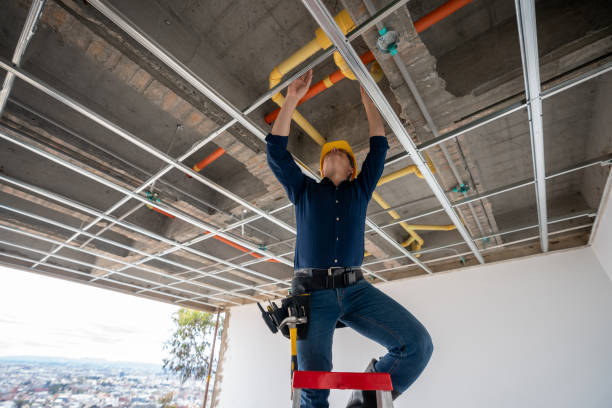 Best Plumbing Inspection Services  in Castle Rock, WA